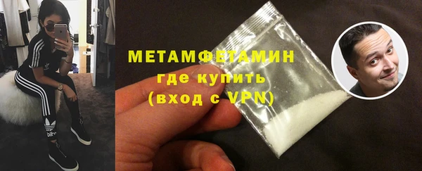 прущие грибы Заволжск