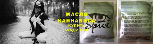 тгк Абаза