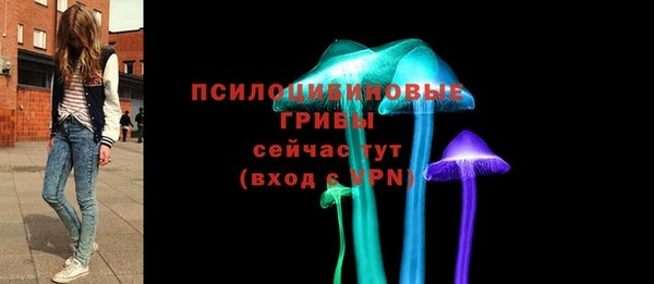 тгк Абаза