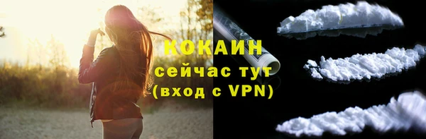 тгк Абаза