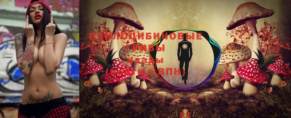 тгк Абаза
