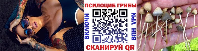 продажа наркотиков Костомукша Галлюциногенные грибы Psilocybe